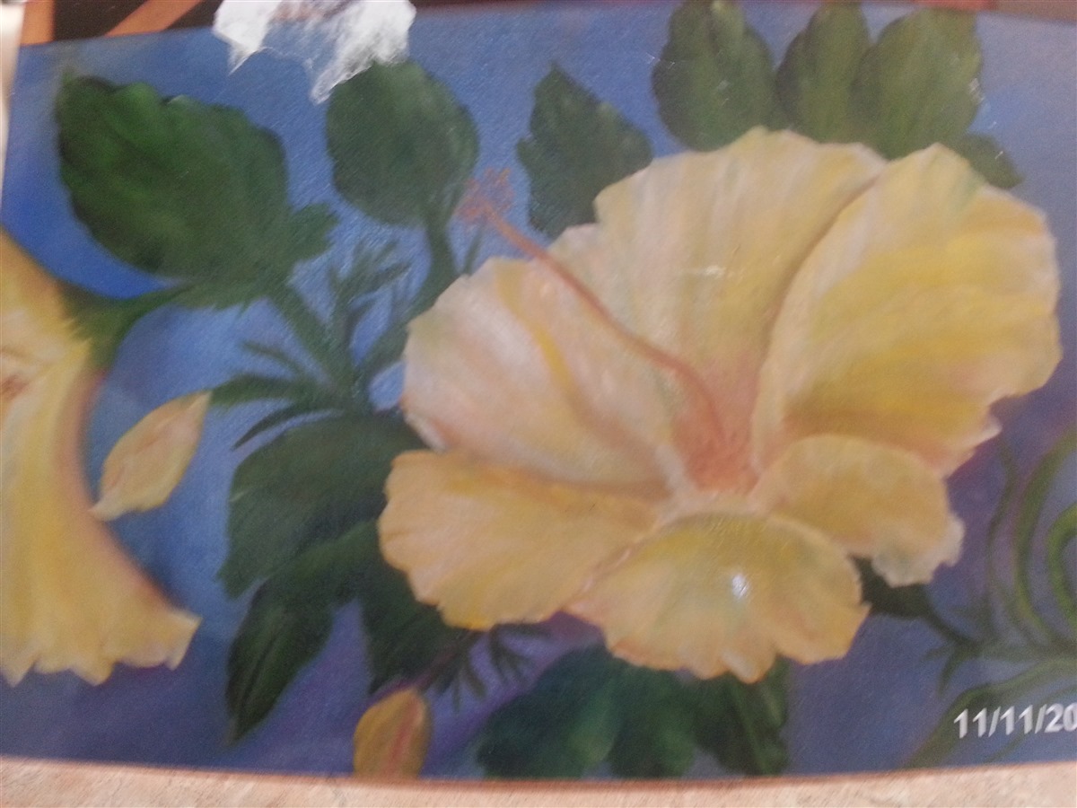 Yellow Hibiscus