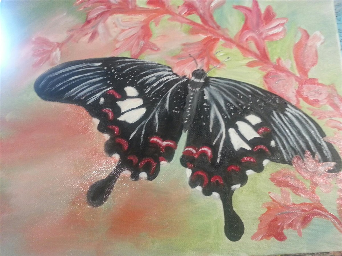 Swallowtail