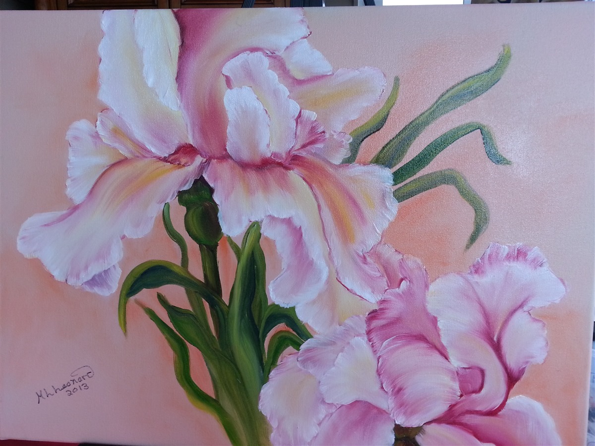 Iris Lovelies