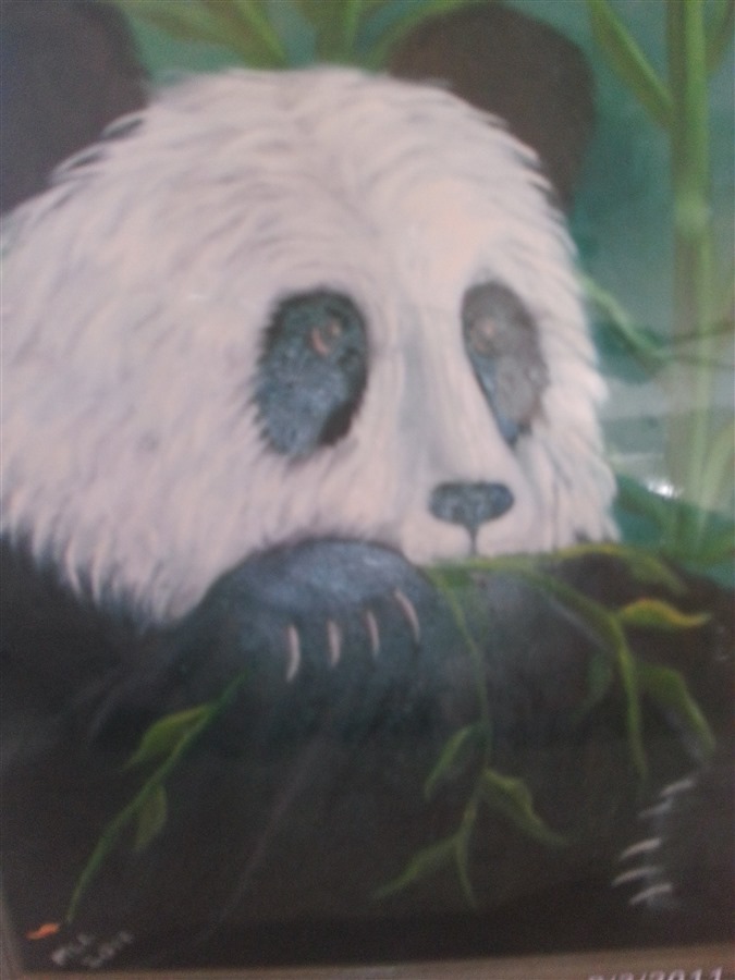 Panda Love
