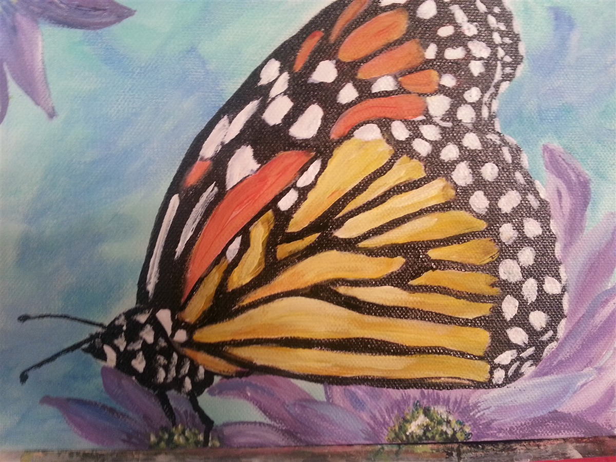 Monarch Beauty