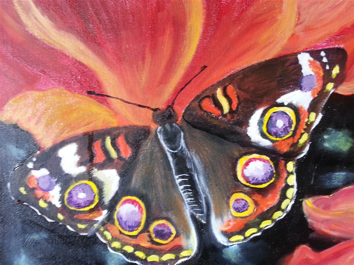 Moths Are Beautiful