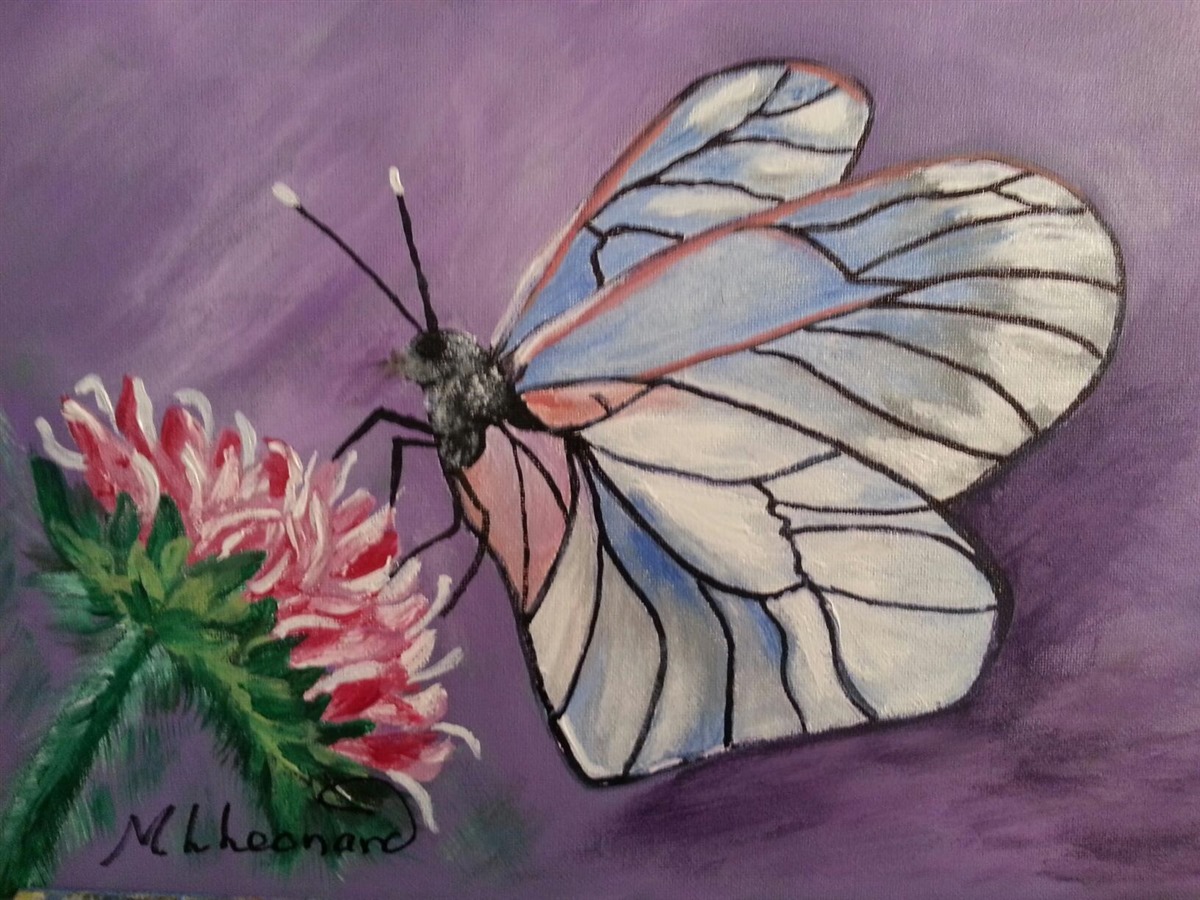 Glasswing