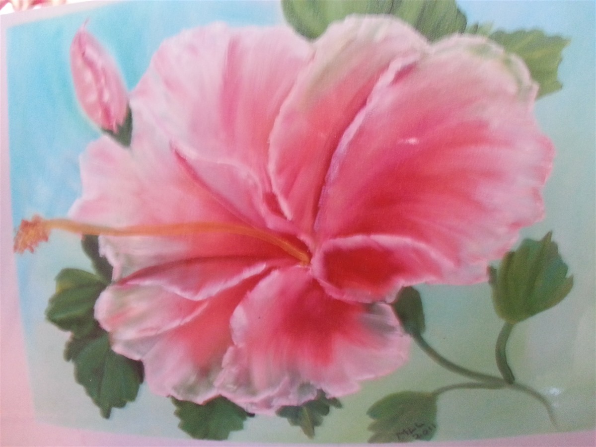 Pink Hibiscus